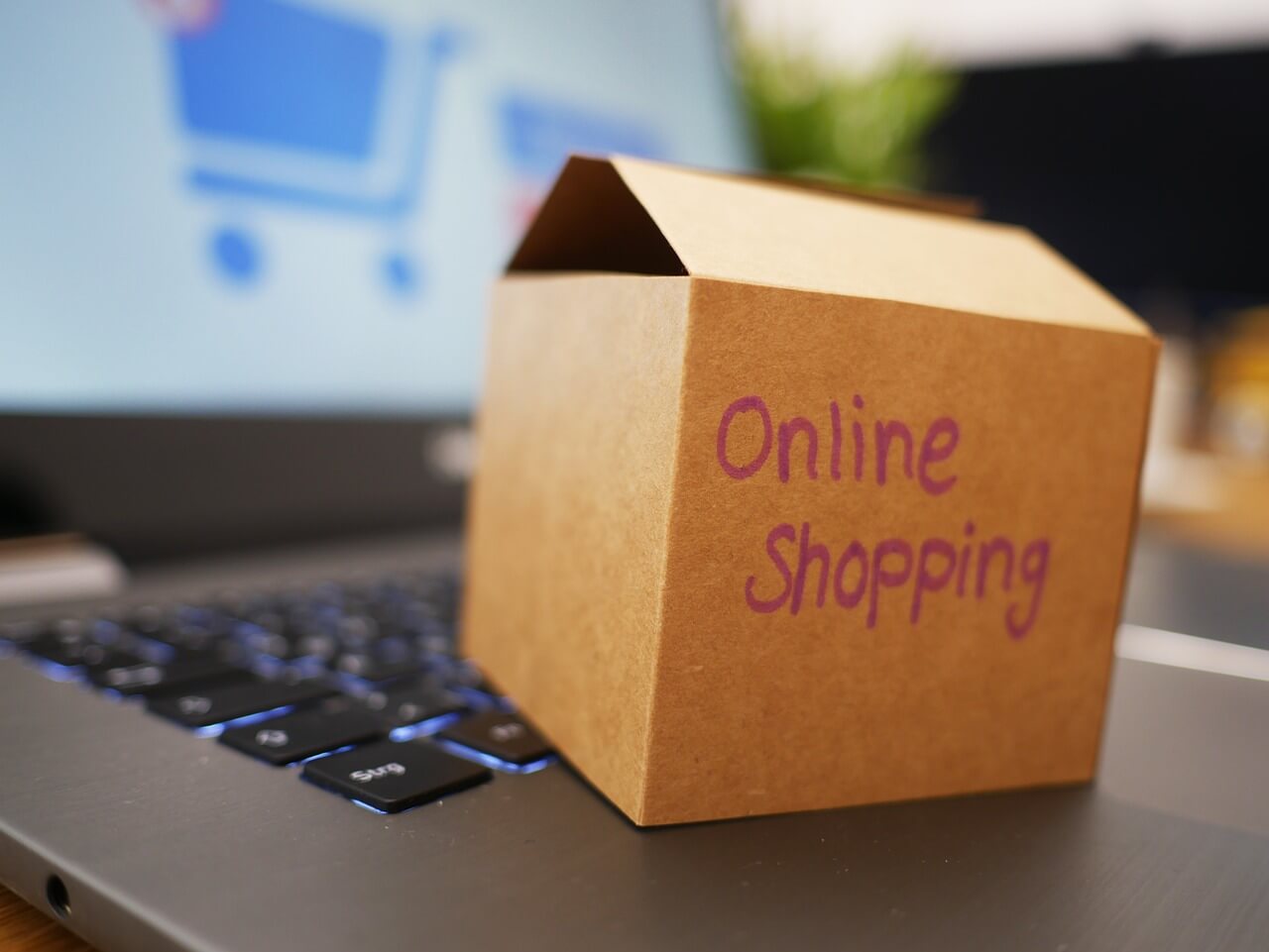 Sustainable Practices in E-commerce For Greener Future: Know All